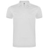 Polo microperforado para hombre ROLY 6639 Silverstone