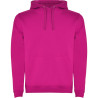 Sudadera Infantil con capucha ROLY 1067 Urban