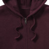 Sudadera Authentic con capucha hombre RUSSELL 263M